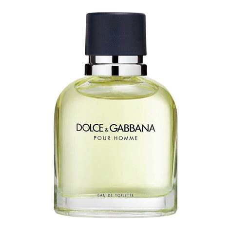 eau de toilette dolce gabbana pour homme|parfum dolce gabbana homme coffret.